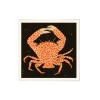 Affiche Spotted Calico Crab - 50 x 50 cm