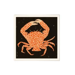 Affiche Spotted Calico Crab - 50 x 50 cm