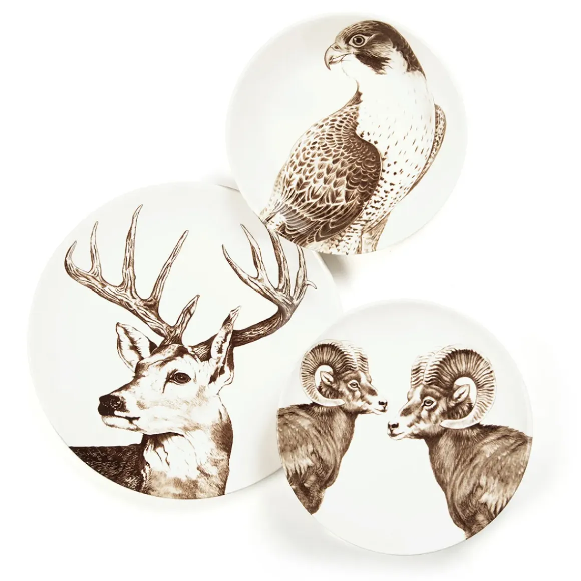 Assiette creuse - Faucon