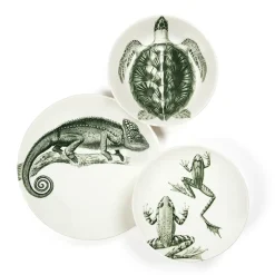 Assiette plate - Cameleon