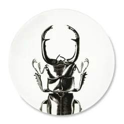 Assiette plate - Scarabée