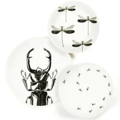 Assiette plate - Scarabée
