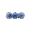 Barrette Anémones