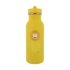 Bouteille Mr Lion - 500 ml