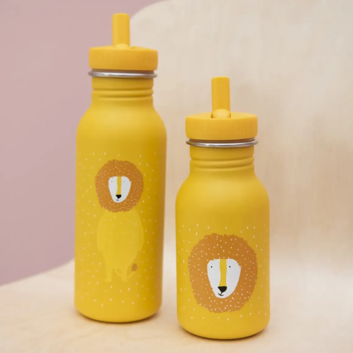Bouteille Mr Lion - 500 ml