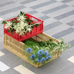 Caisse Crate S - L 26.5 cm X H 10.5 cm
