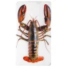 Décoration murale Homard sur glace sur fond blanc - 20 x 35 cm