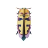 Décoration murale Mango Flower Beetle