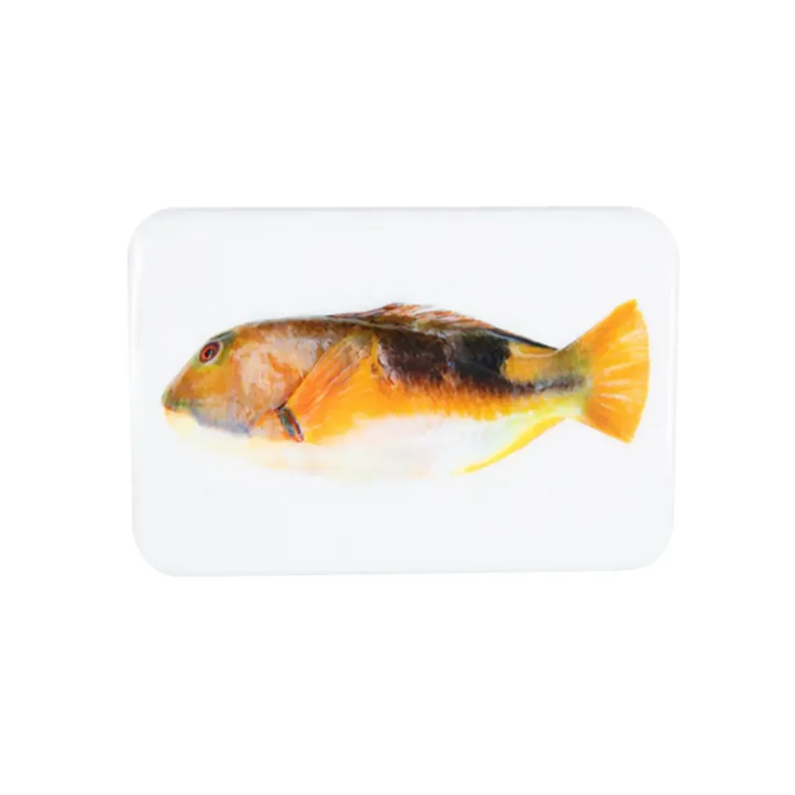 Décoration murale Poisson-Perroquet Orange - 29 x 20 cm