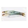 Décoration murale Sardines vertes - 35 x 20 cm