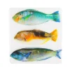 Décoration murale Trois poissons perroquet sur fond blanc - 20 cm x 20 cm