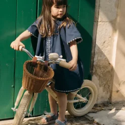 Draisienne