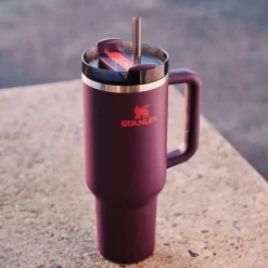 Gourde Quencher H2.0 - Plum