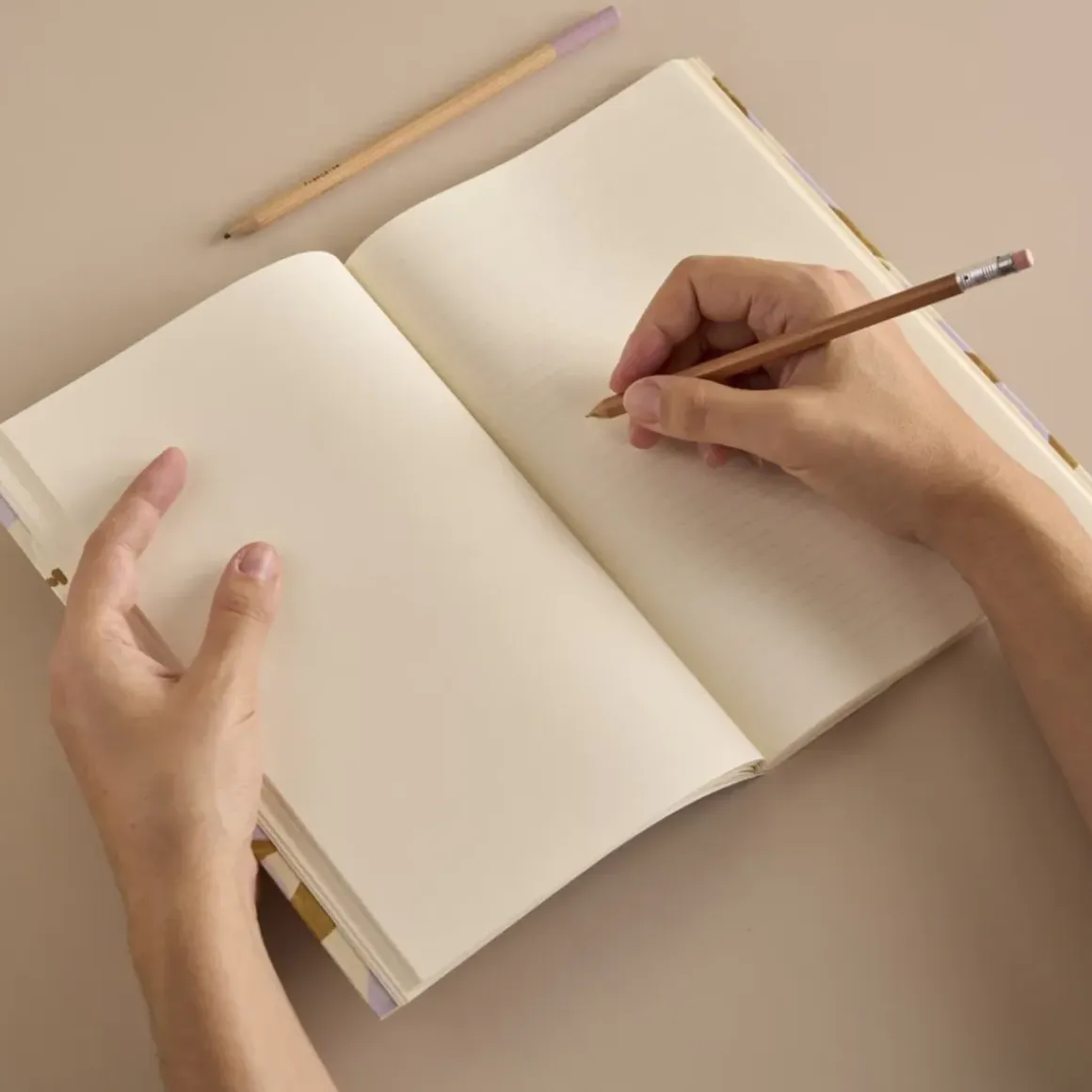 Journal Jardin d'été