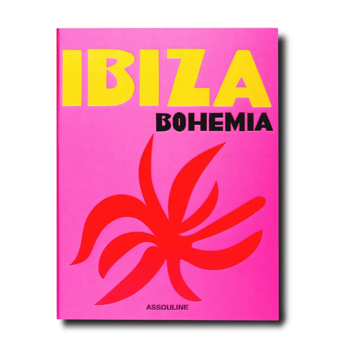Livre Ibiza Bohemia