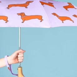 Parapluie à manche Tête de Canard - Teckel - Coucou Suzette