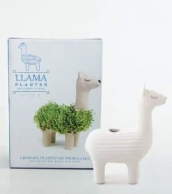 Pot / Jardinière Chia Lama