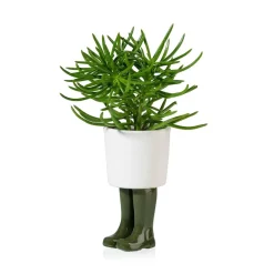 Pot / Jardinière Wellington Petit - Vert