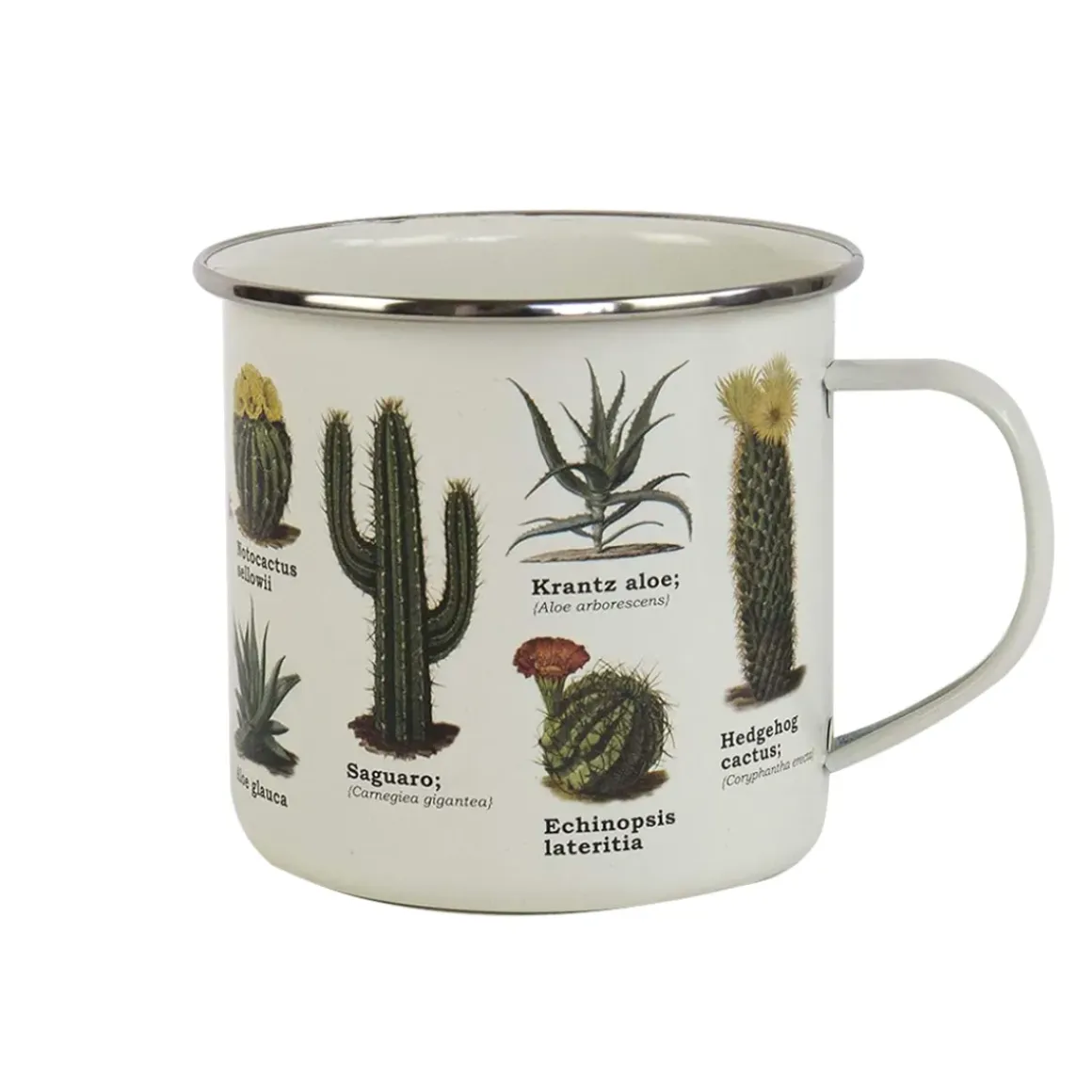 Tasse émail Botanique