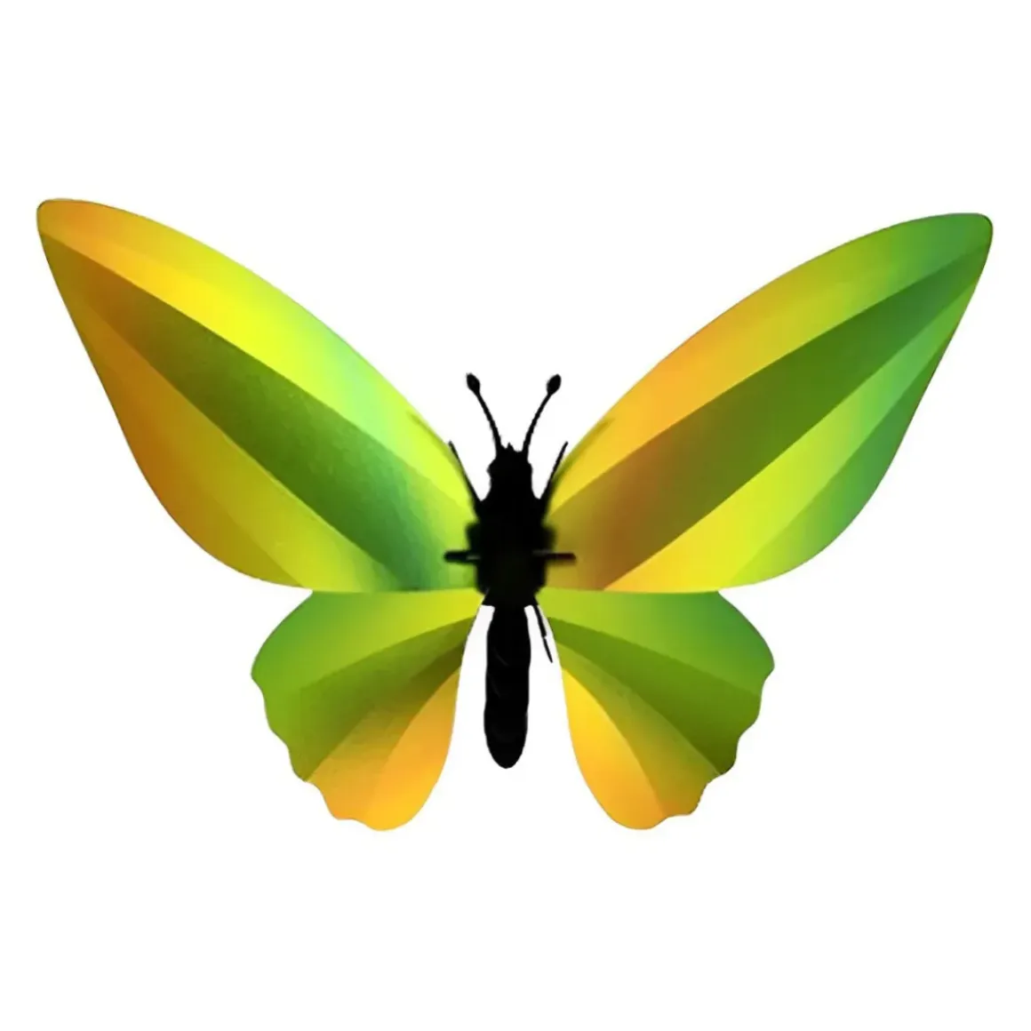 Trophée Origami Papillon Birdwing Vert Mangue